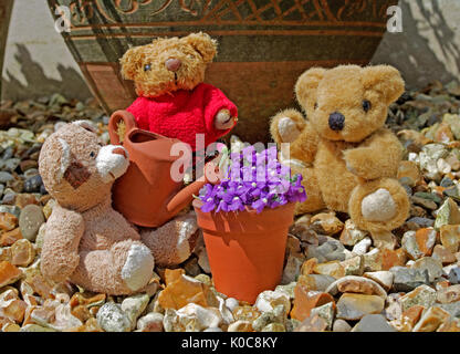 Tableau d'ours miniature en jardin dans le soleil d'été avec de l'argile miniature arrosoir et pot de fleurs. Banque D'Images