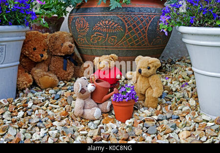 Tableau de jardin 3 petits teddies arroser une mini pot de fleurs avec de l'argile mini arrosoir, observé dans l'arrière-plan par 2 grands ours poilu. Banque D'Images