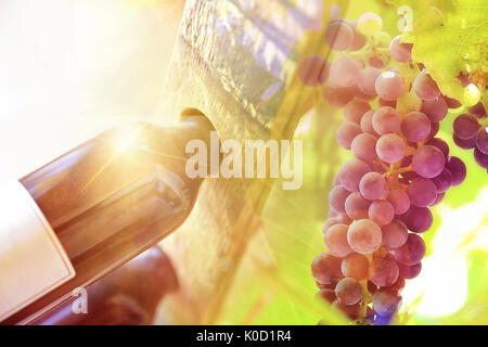 Concept producteur de vin avec des bouteilles et des grappes de raisin. Composition horizontale Banque D'Images