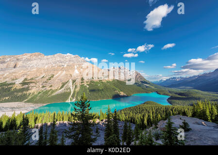 Le lac Peyto, dans le parc national Banff, Rocheuses canadiennes. Banque D'Images