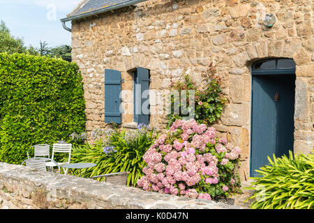 Chambre avec hortensiae. L'île de Bréhat, Côtes-d'Armor, Bretagne, France. Banque D'Images