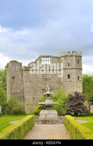 Ruines du château médiéval, l'Irlande Banque D'Images