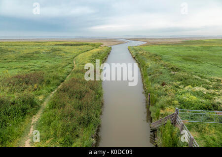 Vue sur les marais salants vers la mer des Wadden, photographié à St Jacobiparochie, Frise, Pays-Bas. Banque D'Images