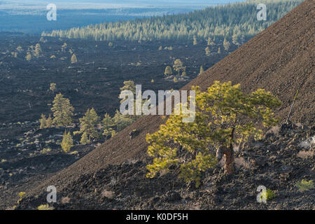 USA, New York, Central, Deschutes Comté, Butte de lave volcanique, Newberry National Monument Banque D'Images