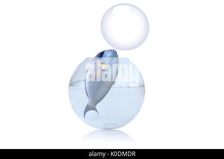 Illustration de poisson perroquet essayant de s'échapper de prison Banque D'Images