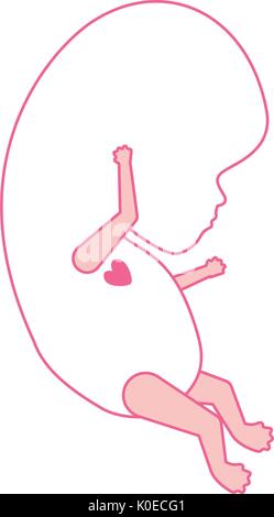 Silhouette rose vue du côté de la croissance foetale avec coeur actif Illustration de Vecteur