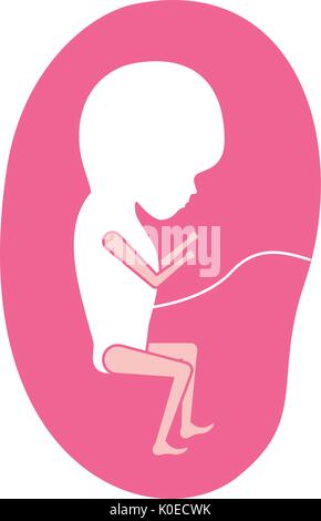 Silhouette rose vue du côté de la croissance des fœtus placenta dans trimestrer Illustration de Vecteur