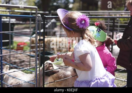 Les familles avec de jeunes enfants visitent un zoo pour enfants, qui a été mis en place pour la foire du printemps, un festival annuel avec de la musique, de la nourriture, des magasins, et plus encore qui a lieu chaque printemps sur le campus Homewood de l'Université Johns Hopkins à Baltimore, Maryland. 2014. Avec la permission d'Eric Chen. Banque D'Images