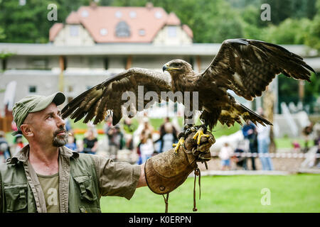 Liberec, République tchèque. Août 22, 2017. Falconer Alexandr Vraga avec un prédateur en action pendant la formation de la fauconnerie au zoo de Liberec en République tchèque, d'abord, le 22 août 2017. Pour la première fois le zoo organise des démonstrations de fauconnerie la formation pour les visiteurs. Falconer a présenté aux visiteurs quatre prédateurs : le pèlerin, l'aigle-owl, Kestrel, et Buzzard. Photo : CTK Radek Petrasek/Photo/Alamy Live News Banque D'Images