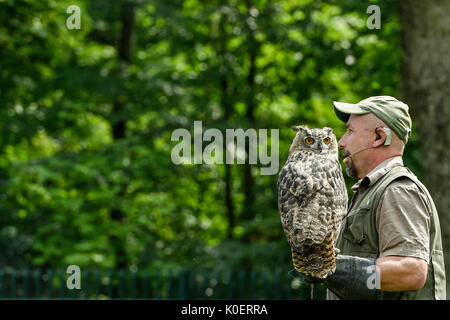 Liberec, République tchèque. Août 22, 2017. Falconer Alexandr Vraga avec un aigle-terriers en action pendant la formation de la fauconnerie au zoo de Liberec en République tchèque, d'abord, le 22 août 2017. Pour la première fois le zoo organise des démonstrations de fauconnerie la formation pour les visiteurs. Falconer a présenté aux visiteurs quatre prédateurs : le pèlerin, l'aigle-owl, Kestrel, et Buzzard. Photo : CTK Radek Petrasek/Photo/Alamy Live News Banque D'Images