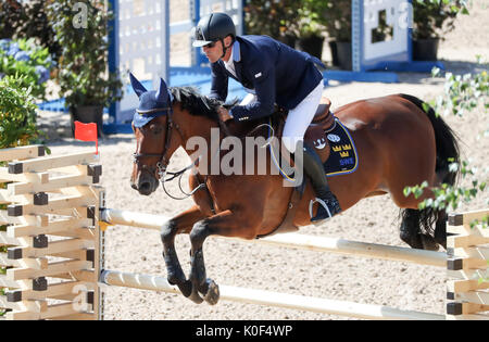 Göteborg, Suède. Août 23, 2017. Cavalier suédois Peder Fredericson sur son cheval dans tous les H&M à la Longines FEI European Championships 2017 à Göteborg, Suède, 23 août 2017. Photo : Friso Gentsch/dpa/Alamy Live News Banque D'Images