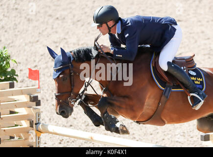 Göteborg, Suède. Août 23, 2017. Cavalier suédois Peder Fredericson sur son cheval dans tous les H&M à la Longines FEI European Championships 2017 à Göteborg, Suède, 23 août 2017. Photo : Friso Gentsch/dpa/Alamy Live News Banque D'Images