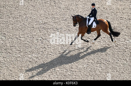 Göteborg, Suède. Août 23, 2017. Dressage rider allemand Soenke Rothenberger équitation Cosmo dans le Grand Prix de dressage à la FEI Longines European Championships 2017 à Göteborg, Suède, 23 août 2017. Photo : Friso Gentsch/dpa/Alamy Live News Banque D'Images