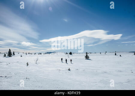 Moen, Norvège - le 23 mars 2016. Les gens à l'Sulseter ski resort. Banque D'Images