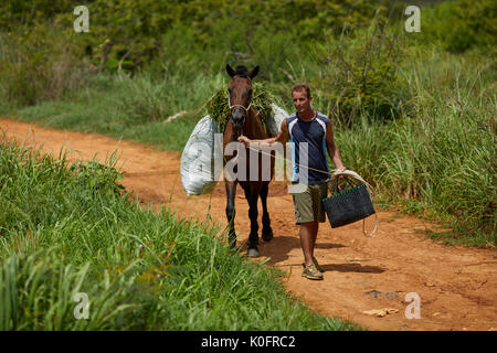 Le cubain, Cuba, Cardenas, habitant à marcher avec son cheval sur un chemin de terre Banque D'Images