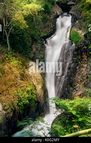 Cascade de Gitgit Bali en Indonésie. Banque D'Images