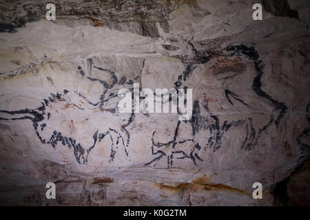 Ancien dessin avec du charbon sont sur le mur de la grotte. Deux bisons peindre avec la couleur noire Banque D'Images