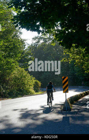 Cycliste femme de derrière qui se profile en plein soleil sur une route sinueuse, Southwest Marine Drive, Vancouver, BC, Canada Banque D'Images