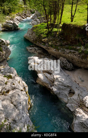 L'eau turquoise et les roches calcaires karstiques lissé de la rivière Soca au printemps Trenta Valley Parc national du Triglav Slovénie à gorge Vrsnica Banque D'Images