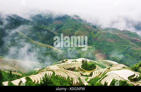 Terrasse de riz mystique brouillard paysage de Longsheng, China, Asia Banque D'Images