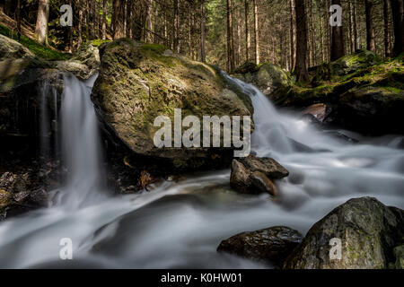 Lutago/Luttach, Vallée Aurina, Tyrol du Sud, Italie. Le Pojen Creek dans la vallée Aurina Banque D'Images