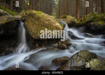 Lutago/Luttach, Vallée Aurina, Tyrol du Sud, Italie. Le Pojen Creek dans la vallée Aurina Banque D'Images