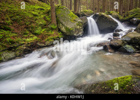 Lutago/Luttach, Vallée Aurina, Tyrol du Sud, Italie. Le Pojen Creek dans la vallée Aurina Banque D'Images