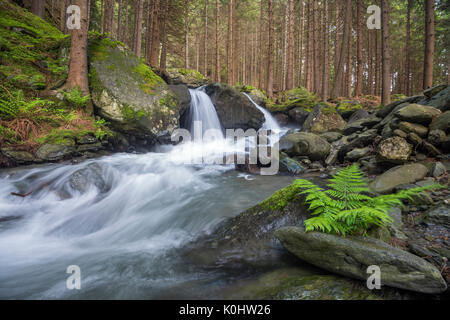 Lutago/Luttach, Vallée Aurina, Tyrol du Sud, Italie. Le Pojen Creek dans la vallée Aurina Banque D'Images