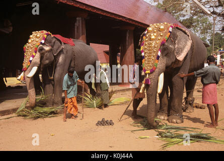 Temple des éléphants, Kerala, Inde Banque D'Images