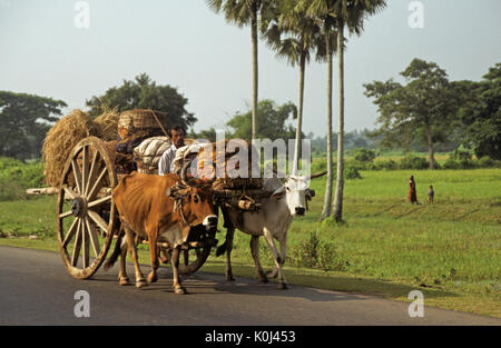 Charrette transportant récolte de riz, les régions rurales du sud de l'Inde Banque D'Images