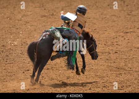 En rond, St Paul Junior Rodeo, St Paul, Oregon Banque D'Images