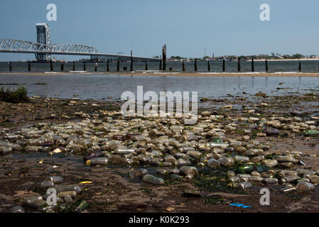 L'extrême plage polluée essentiellement avec le verre - cheval mort Bay à New York City Banque D'Images