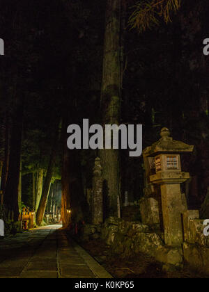 La nuit, pavé chemin à travers les pierres tombales parmi les arbres de cèdre sugi géant, Okunoin, Koyasan, Wakayama, Japon Banque D'Images