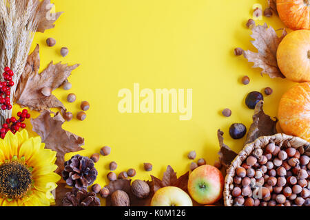 Automne fond jaune avec des citrouilles et tournesols. Banque D'Images