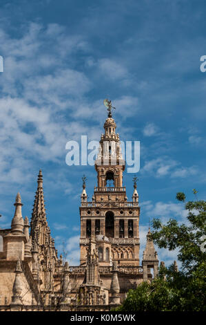 La Giralda, le clocher de la Cathédrale de Séville le construit comme minaret dans la période mauresque avec un style Renaissance top ajouté, après l'expulsion des musulmans Banque D'Images