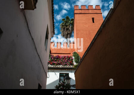 Les ruelles et les palais du Barrio de Santa Cruz, le principal quartier touristique de Séville et l'ancien quartier juif de la ville médiévale Banque D'Images