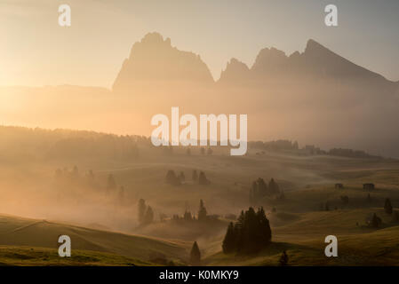 Alpe di Siusi / Seiser Alm, Dolomites, Tyrol du Sud, Italie. La lumière du matin d'automne sur l'Alpe di Siusi / Seiser Alm Banque D'Images