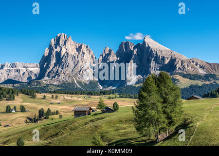 Alpe di Siusi / Seiser Alm, Dolomites, Tyrol du Sud, Italie. Vue depuis l'Alpe di Siusi aux sommets du Sassolungo et Sassopiatto/Langkofel/Plattkofel Banque D'Images