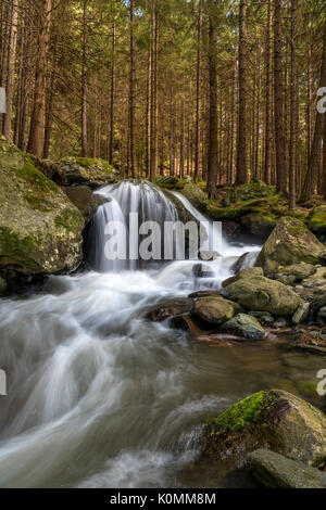 Lutago/Luttach, Vallée Aurina, Tyrol du Sud, Italie. Le Pojen Creek dans la vallée Aurina Banque D'Images