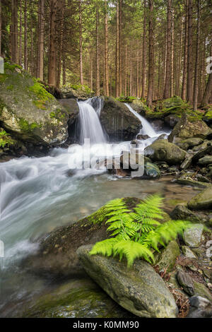 Lutago/Luttach, Vallée Aurina, Tyrol du Sud, Italie. Le Pojen Creek dans la vallée Aurina Banque D'Images