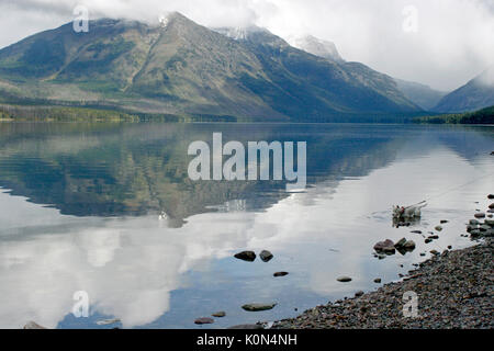 Chien jouant dans l'EAU DU LAC MCDONALD ET VUE DES MONTAGNES - Glacier National Park, Montana Banque D'Images