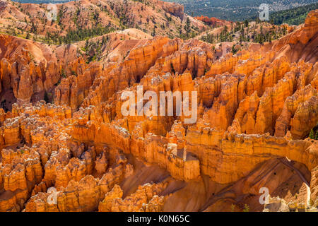 Le long du Parc National de Bryce Canyon dans l'Utah il y a plusieurs belvédères et surplombe de voir vers le bas dans le canyon. Banque D'Images