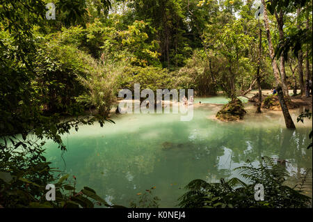 Les touristes vous baigner dans des bassins d'eau turquoise au Tat Cascades de Kuang Si près de Luang Prabang, Laos. Banque D'Images