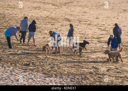 Les vacanciers et leurs chiens sur la plage de Fistral, Newquay, Cornwall. Banque D'Images