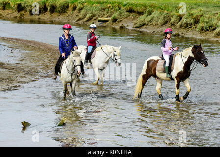 Promenades à cheval le long de la rivière Gannel et l'estuaire de marée à Newquay en Cornouailles. Banque D'Images