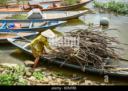 Une femme transportant du bois par bateau sur la rivière Hoai dans Hoi An, Vietnam. Banque D'Images