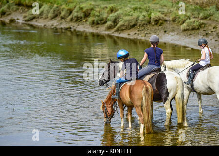 Promenades à cheval le long de la rivière Gannel et l'estuaire de marée à Newquay en Cornouailles. Banque D'Images