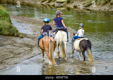 Promenades à cheval le long de la rivière Gannel et l'estuaire de marée à Newquay en Cornouailles. Banque D'Images