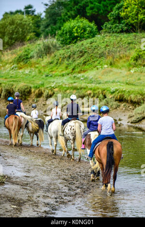 Promenades à cheval le long de la rivière Gannel et l'estuaire de marée à Newquay en Cornouailles. Banque D'Images