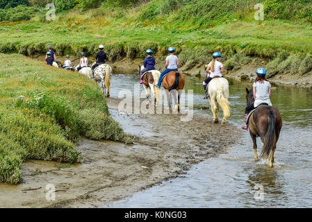 Promenades à cheval le long de la rivière Gannel et l'estuaire de marée à Newquay en Cornouailles. Banque D'Images